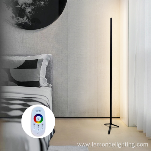 Modern Space Saving Decorative Floor Lamp